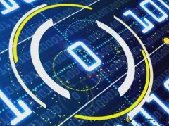 美國服務(wù)器數(shù)據(jù)庫運(yùn)維